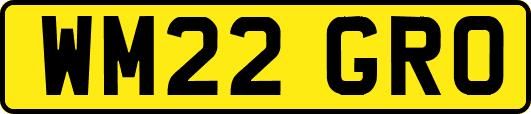 WM22GRO
