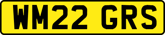WM22GRS