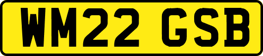 WM22GSB