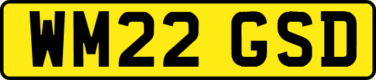 WM22GSD