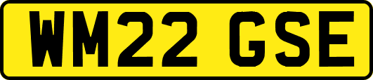 WM22GSE