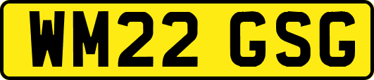 WM22GSG