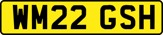 WM22GSH