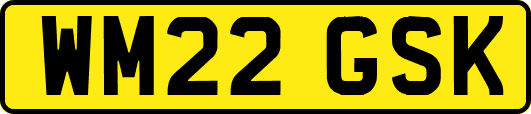 WM22GSK
