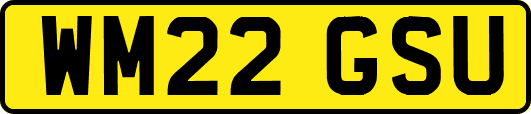 WM22GSU