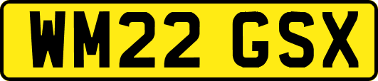 WM22GSX