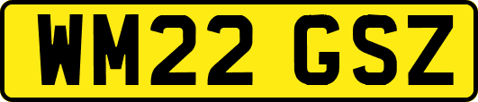 WM22GSZ