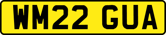WM22GUA
