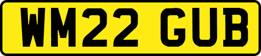 WM22GUB