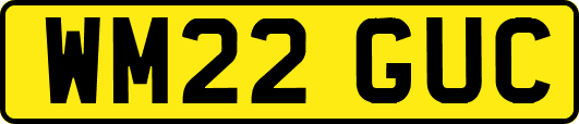 WM22GUC