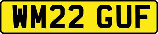 WM22GUF
