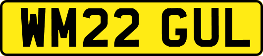 WM22GUL