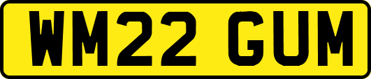 WM22GUM