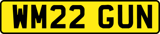 WM22GUN