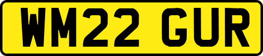 WM22GUR