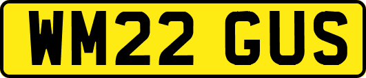 WM22GUS