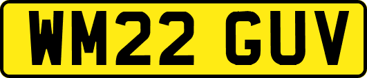 WM22GUV
