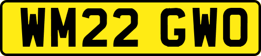 WM22GWO