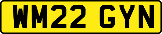 WM22GYN