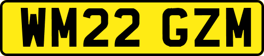 WM22GZM