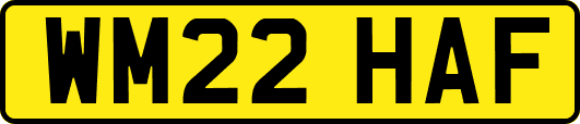 WM22HAF