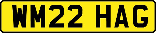 WM22HAG