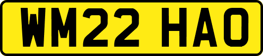 WM22HAO