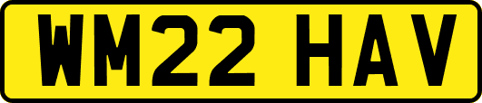 WM22HAV