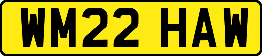 WM22HAW