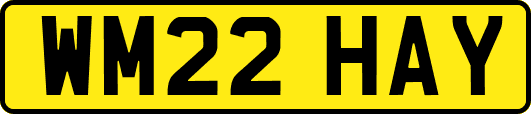 WM22HAY