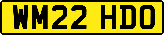 WM22HDO