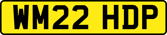 WM22HDP