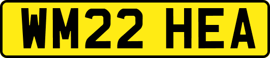 WM22HEA