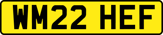 WM22HEF