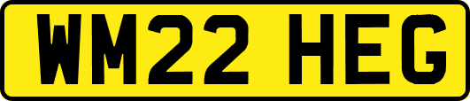 WM22HEG