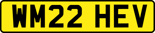 WM22HEV