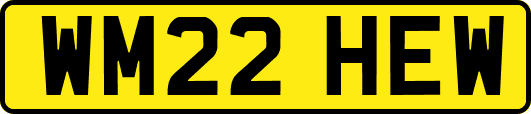 WM22HEW