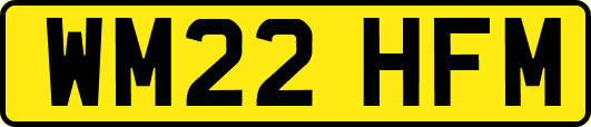 WM22HFM