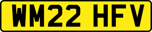 WM22HFV