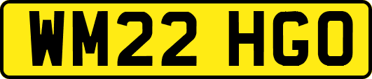 WM22HGO
