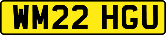 WM22HGU