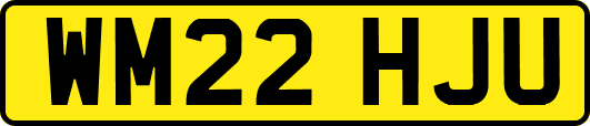 WM22HJU