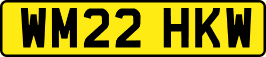 WM22HKW