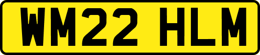 WM22HLM