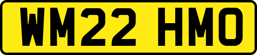 WM22HMO