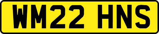 WM22HNS