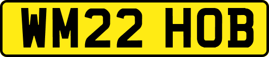 WM22HOB
