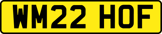 WM22HOF