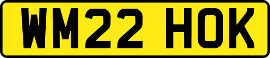 WM22HOK