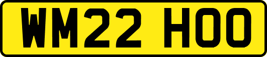 WM22HOO